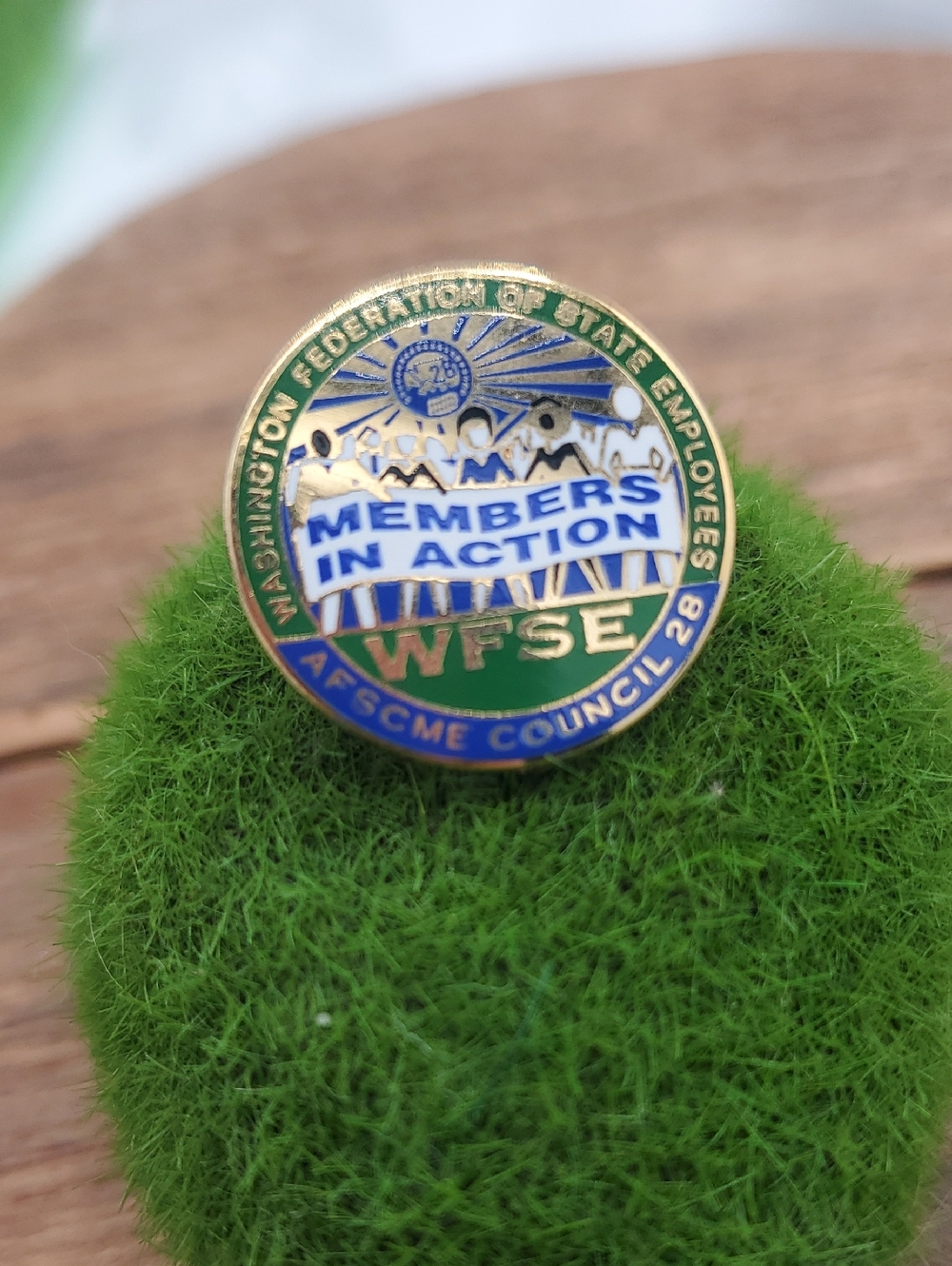 Members in Action WFSE Enamel Pin - Blue & Green B468